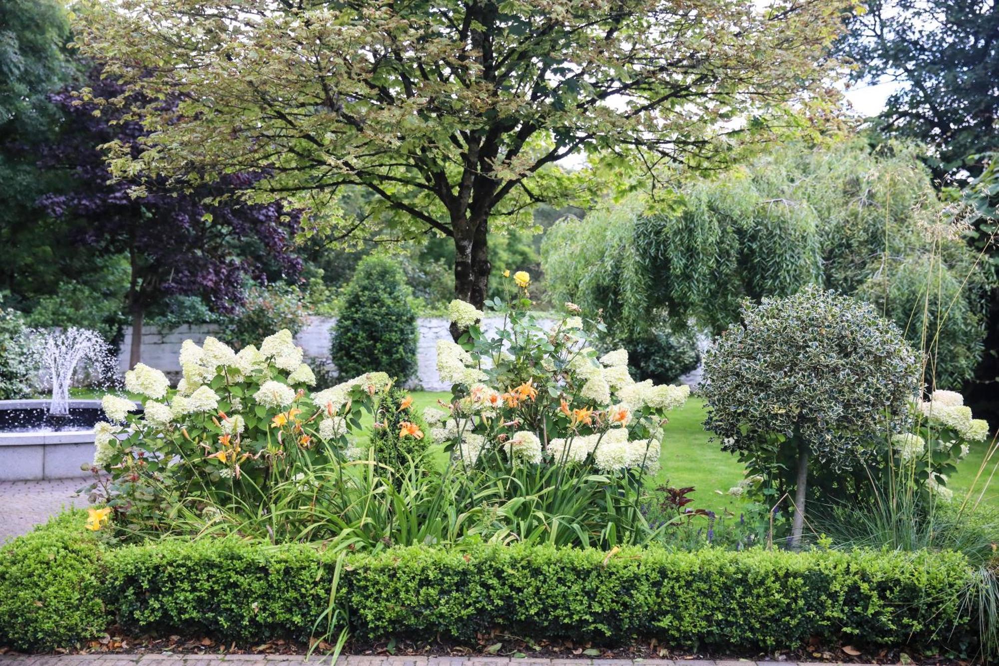 Conyngham Arms Hotel Slane Zewnętrze zdjęcie